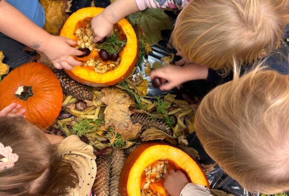 Sensoryka z darami jesieni