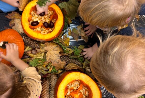Sensory Activities with Autumn Treasures